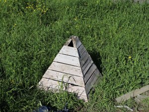 Народный фронт помог обеспечить доступ к пожарному водоему в Сыктывкаре, который был завален мусором
