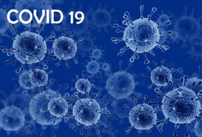 [США. А как у них?]Половина пандемийных пособий по безработице в США оказалась в руках мошенников