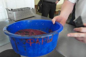 Отвратительная еда в школах - почему глава РПН закрывает на это глаза?