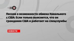 Песков о возможности обмена Навального с США: Если только выяснится, что он гражданин США и работает на спецслужбы  (Мария Захарова: "В российских тюрьмах находятся 17 американцев")