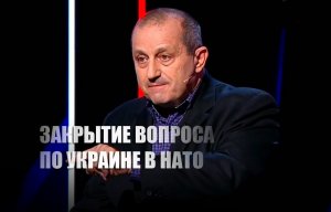 Кедми пояснил, как Путин парой слов поставил крест на стремлении Украины попасть в НАТО
