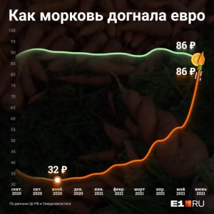 «Лошадь кормлю бананами, так дешевле»: уральцы — о заоблачных ценах на морковь и картошку