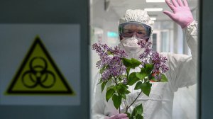 Эпидемия «черной плесени» России вряд ли грозит, - ВОЗ