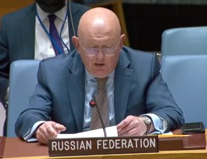 Постпред России назвал безосновательными обвинения ООН в адрес российских военных в ЦАР