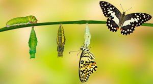 [О«Кук»лили*] Sohu: фрегат ВМС Нидерландов оказался бессильным перед системами РЭБ России. Провокация позорно провалилась