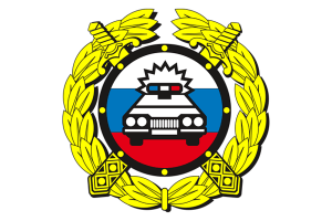 (ГАИ/ ГИБДД- 85 лет) Танцующие "гаишники" из Казани покорили соцсети: такого на дорогах вы точно не увидите.