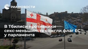 В Тбилиси противники секс-меньшинств сожгли флаг ЕС у парламента