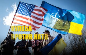 Глава МИД Украины упрекнул НАТО из-за России в вопросе членства Киева в альянсе