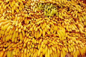 [«... всесоюзная и кузница, и здравница, и житница»] На Украине пожаловались на «зерновое проклятие», сокращающее население в стране и превращающее её в «банановый»* монопридаток мирового рынка