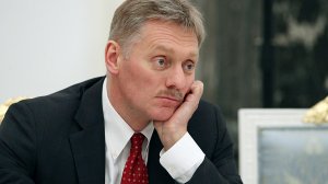 Песков назвал обращение жителей омского села к Меркель оправданным гневом в адрес властей