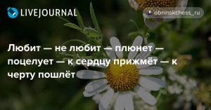 "Ъ": Путин предлагал Байдену скоординировать действия по Афганистану, задействовав базы в Средней Азии и американцы наверняка приняли бы такое предложение, если бы не решали «другие» задачи