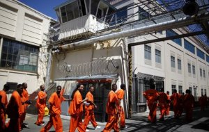 Изучением дела жертвы полицейского произвола Уильямса занялся ФБР РФ