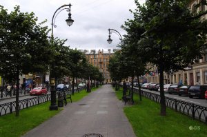 Волонтёры в Петербурге собирают подписи за «Ленинградскую надбавку» к пенсиям