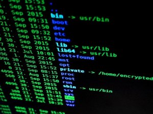 NORTHCOM проводит третье учение по глобальному информационному доминированию