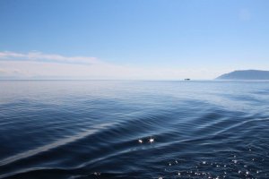 Четыре привитых иностранной вакциной спортсмена заболели COVID во время трансбайкальского заплыва