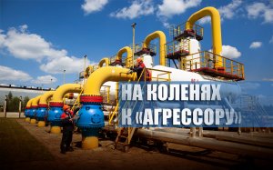«Все закончится через пару лет»: На Украине призвали готовиться «ползти на коленях» к РФ за газом