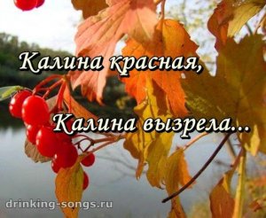 [«Baiden's darling»] Экс-глава «Нафтогаза» о причинах провала борьбы с «СП-2»: «Ответ очевиден — мы потеряли свой особый статус в Белом доме и у самого Президента США, и у его ближайшего окружения»
