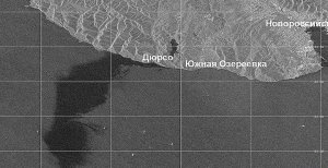 Что известно о разливе нефти под Новороссийском  (7 августа произошел разлив нефтепродуктов в Черном море)