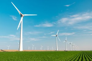 [«Овраги»] Риски быстрого перехода на «зеленую» энергетику до конца не оценены