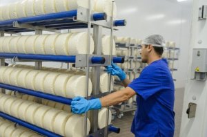 Немецкая компания DMK запустит второй сыродельный завод в Воронежской области   (Сорос назвал инвестиции в Китай «трагической ошибкой»)