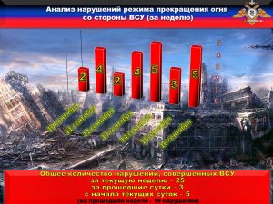 С появлением в зоне конфликта боевиков националистического бандформирования 46 батальона «Донбасс»,  усилились прицельные обстрелы по гражданским объектам - народная милиция