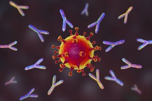 Учёные продолжаю искать способы остановить распространение коронавируса