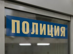 Минюст включил в реестр иноагентов "ОВД-Инфо"