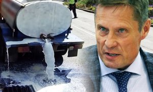Министр сельского хозяйства республики Карелия вместе с председателем првительства решили нанести вред ведущим Карельским молокоперерабатывающим комбинатам