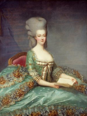 Мария-Антуанетта могла выступать за иностранную интервенцию во Франции из-за любовника