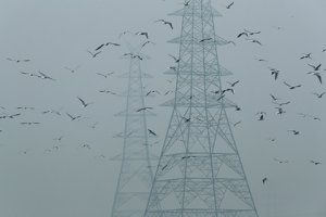 Индия столкнулась с энергетическим кризисом: запасы угля сократились до критического уровня