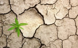 Saxo Bank предсказал зарождение сырьевого суперцикла длиной в десятилетие. Цены на сырье будут расти, продолжая сильное ралли текущего года: этому будут способствовать ESG и «зеленая» трансформация