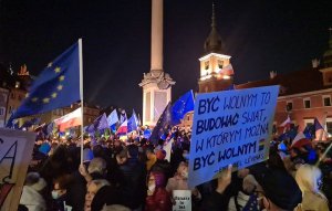 В Варшаве проходит массовая демонстрация в поддержку членства Польши в ЕС    (Аналогичные демонстрации прошли в Гданьске, Познани, Щецине, Вроцлаве)