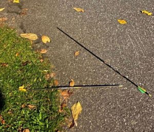 По­до­зре­ва­е­мый в на­па­де­нии с луком в Нор­ве­гии был об­ра­щен в ислам