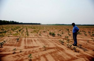 Россия в 2022 году может остаться без урожая