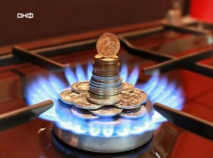 Активисты ОНФ в Коми проводят мониторинг цен на газовые плиты и котлы в регионе
