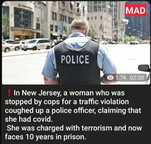 В США женщину обвинили в терроризме за кашель на офицера полиции
