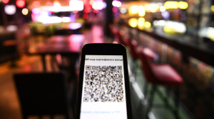 Вице-премьер России Татьяна Голикова на брифинге объяснила принятие правительством решения внести в Госдуму законопроекты о QR-кодах