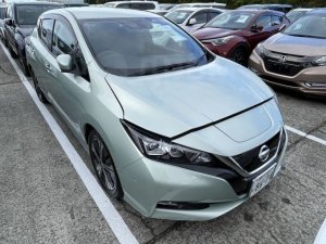 Утильсбор на электромобили в России с 2022 года вырастет в девять раз