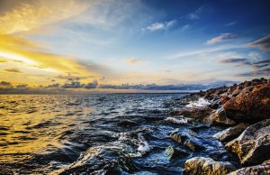 Как новый зоопарк на «Горской» погубит местную экологию