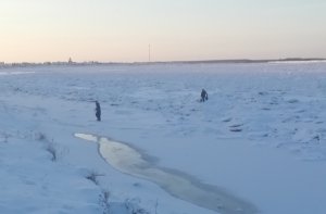 Народный фронт призвал власти Коми помочь жителям четырех населенных пунктов Ижемского района, которые оказались отрезаны от «большой земли»
