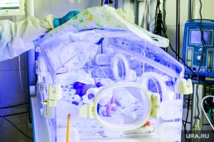 В России начнут собирать ДНК у всех новорожденных