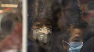 Вирусолог: пандемии коронавируса можно было избежать