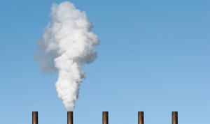 Курс крупных компаний на экологичность становится обязательным условием их успеха