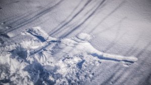 Российский самолет столкнулся с сугробом в Приморье