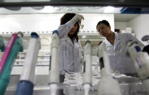Химики создали катализатор для превращения азота и углекислого газа в удобрение