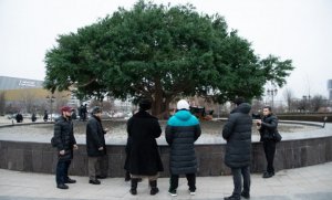 В Грозном установили точную копию оливкового дерева, в тени которого отдыхал Пророк Мухаммад