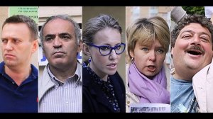 Хинштейн предложил лишать гражданства оппозиционеров