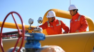 Daily Express: Путин перехитрил ЕС по вопросу с газом  (Путин перехитрил ЕС, заключив новую газовую сделку с Китаем по прокачке "того же объема", что и запрещенный немецкий трубопровод)