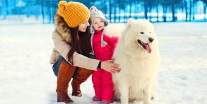 Британцам посоветовали чаще обнимать питомцев из-за газового кризиса