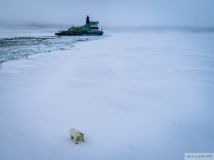Арктический флот «Норникеля» пополнится новым экологичным ледоколом